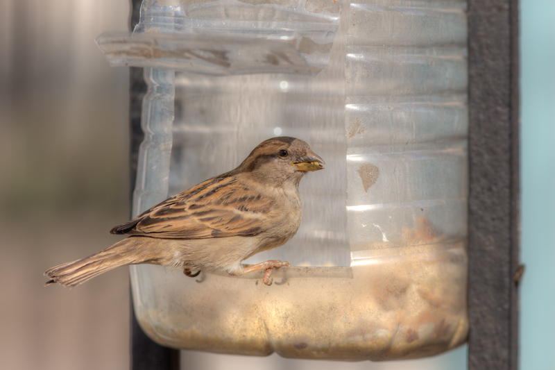 Effective Plant Pot Disposal Tips